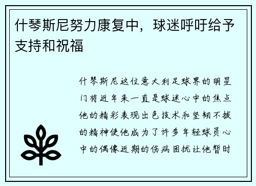 什琴斯尼努力康复中，球迷呼吁给予支持和祝福